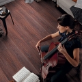 INTERMEZZO 833
